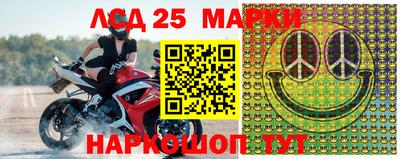 apvp Бийск