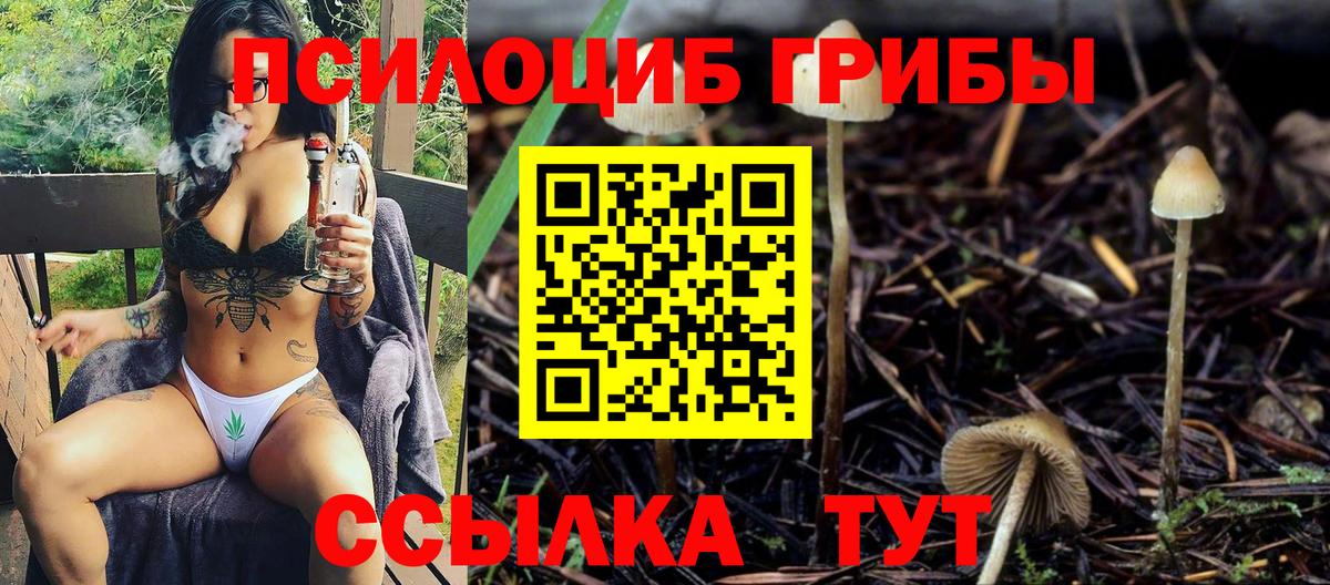 Псилоцибиновые грибы мухоморы Ирбит